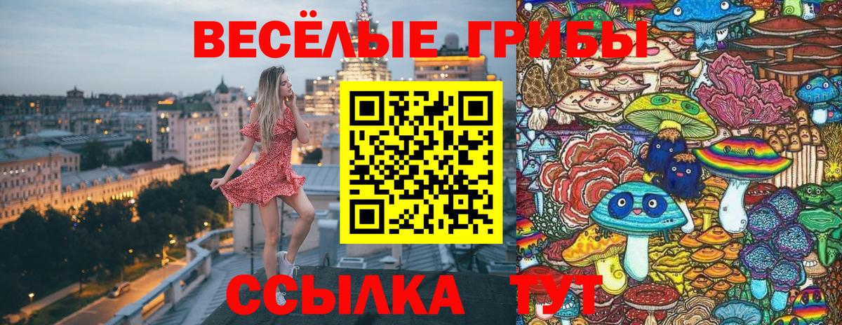 Псилоцибиновые грибы ЛСД Калач-на-Дону