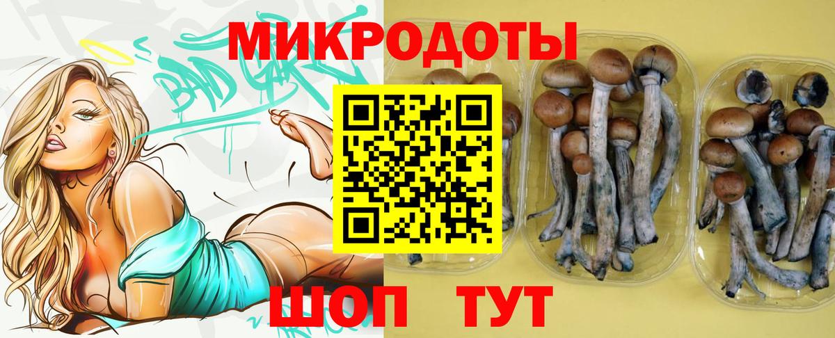 Калач-на-Дону  Псилоцибиновые грибы Psilocybe  Вход с VPN 